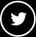 social-icon